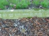 image of grave number 240871